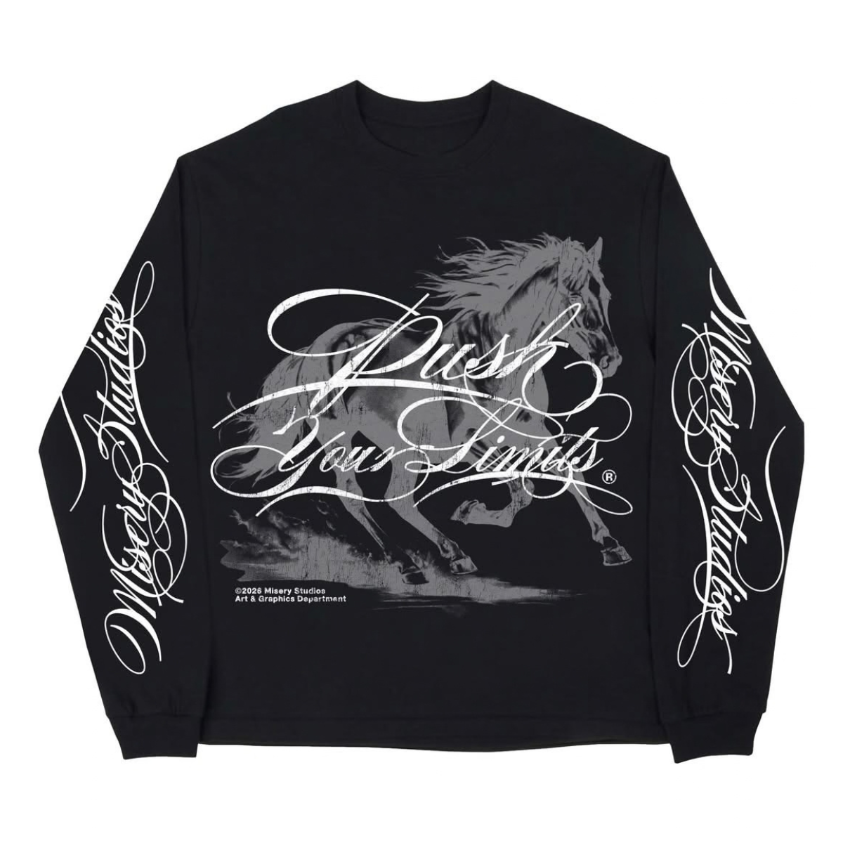 STATIC HORSE Hoodie